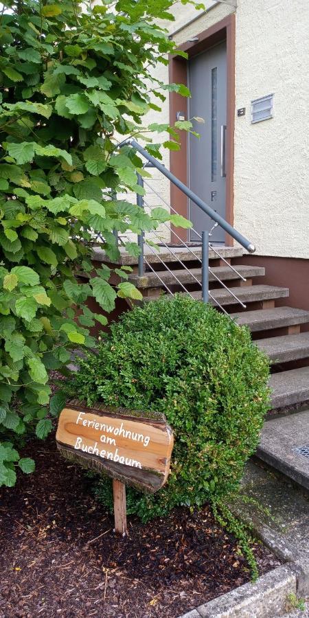 Neuried  Ferienwohnung Am Buchenbaum المظهر الخارجي الصورة