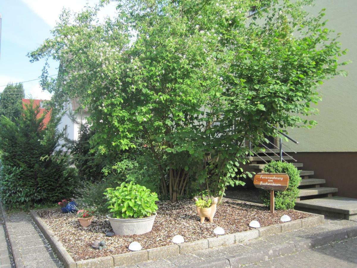 Neuried  Ferienwohnung Am Buchenbaum المظهر الخارجي الصورة